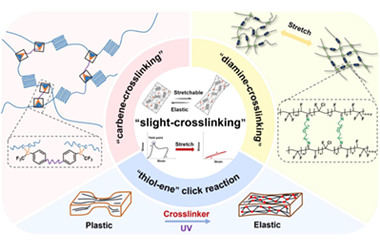 Unlocking the elasticity in ferroelectrics by slight crosslinking 2024.100443